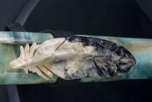 Boxelder Burl Native American Flute, Minor, Low E-4, #E16D